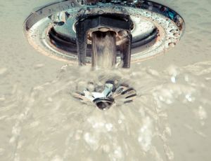 Fire sprinkler