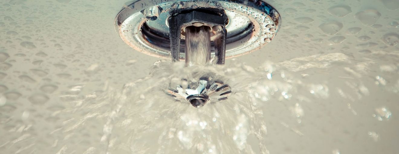 Fire sprinkler