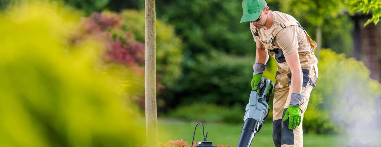 Gardener using a leaf blower to clear debris in a landscaped garden